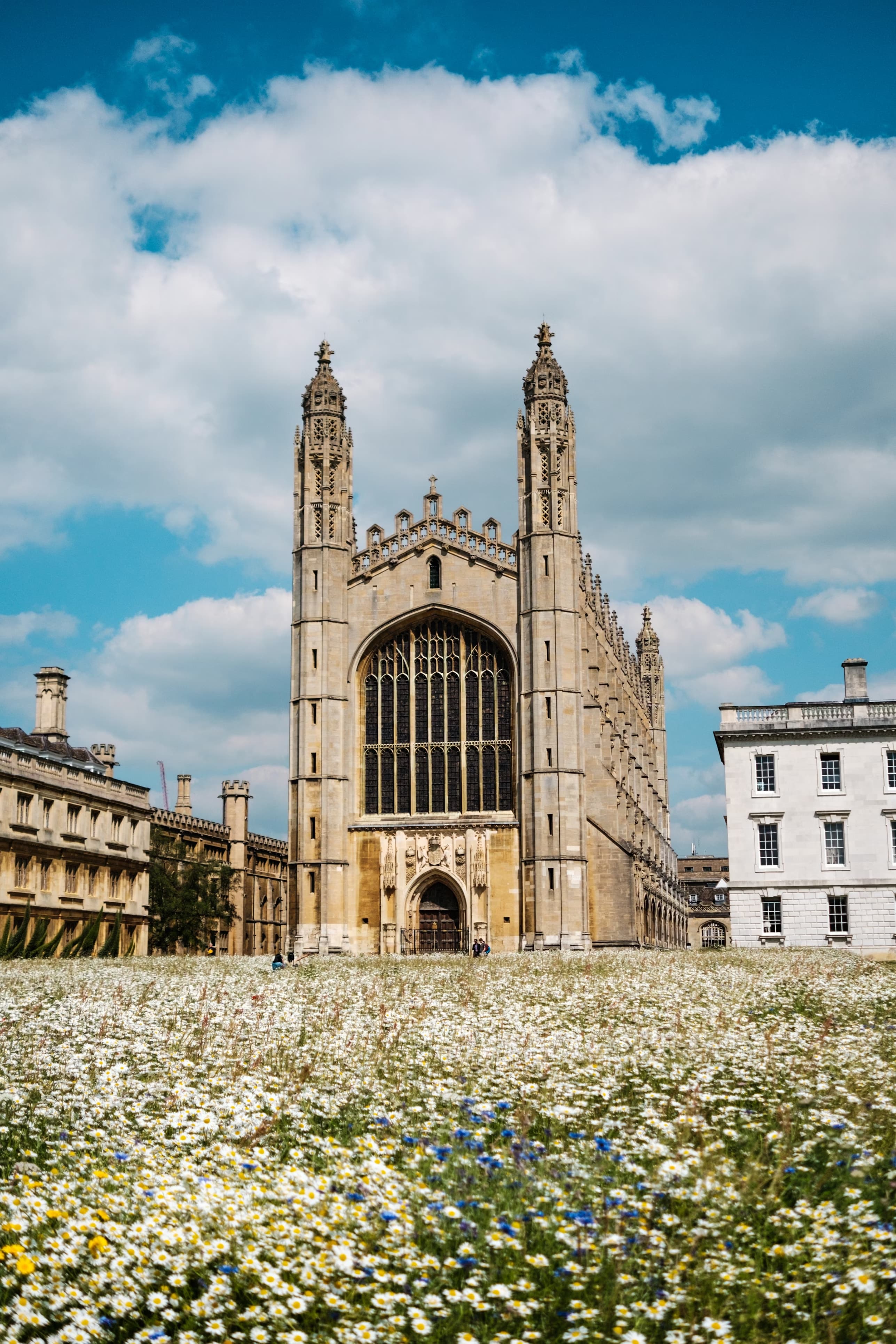 King's College Chapel, Cambridge, behind a wildflower meadow